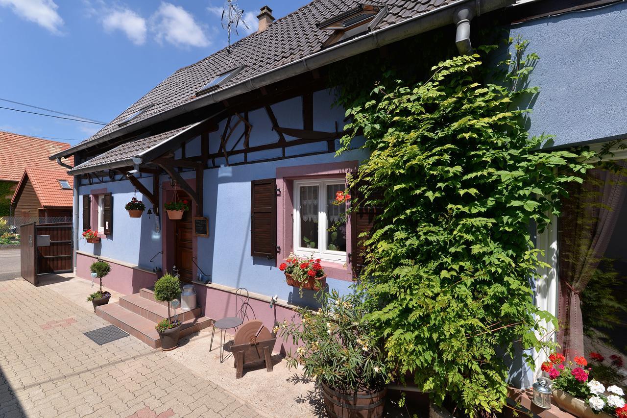 Eden Des Choux Hotel Krautergersheim Exterior foto