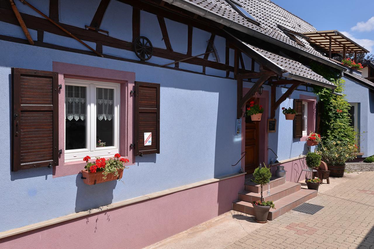 Eden Des Choux Hotel Krautergersheim Exterior foto